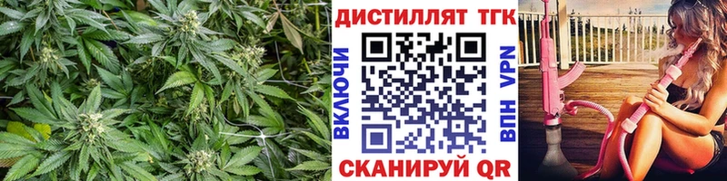Дистиллят ТГК Wax Изобильный