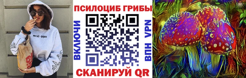 Купить  Изобильный  Псилоцибиновые грибы GOLDEN TEACHER 